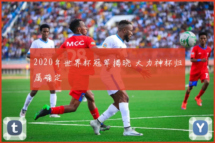 2020年世界杯冠军揭晓 大力神杯归属确定